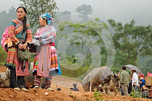 Flower Hmong Women