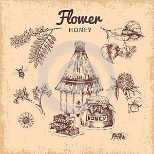 Flower Honey Hand Drawn Composition