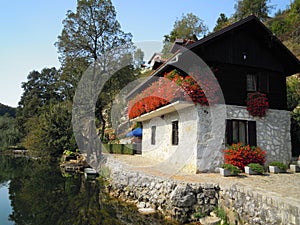 Flower house at Mreznica river Croatia