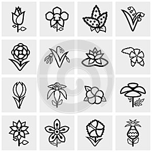 Flower icons set on gray