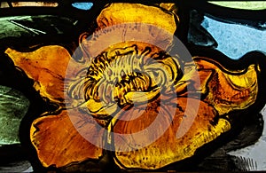 A flower ifloating in water in a stained glass window