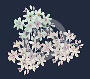 Flower Illustration pattern in simple background