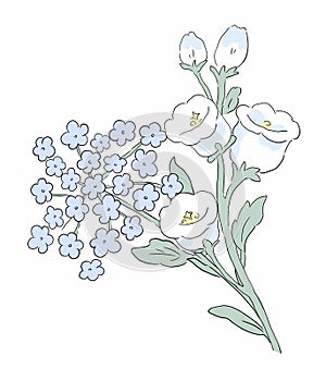 Flower Illustration pattern in simple background. Illustration flower in simple background. photo
