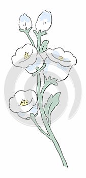 Flower Illustration pattern in simple background. Illustration flower in simple background. photo