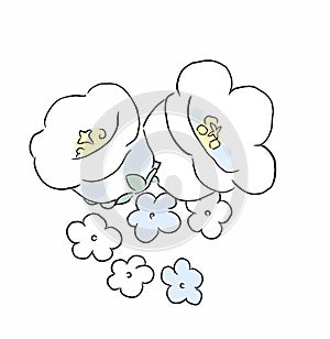 Flower Illustration pattern in simple background. Illustration flower in simple background. photo