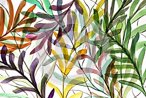 Flower illustration in watercolor. Delicate floral pattern. Artistic background. Postcard. Flower card