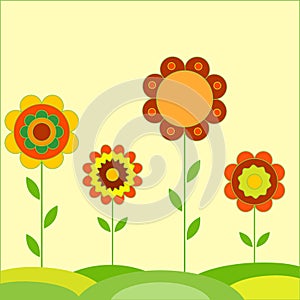 Flower Illustrations