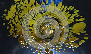 Flower Inside Glass Globe