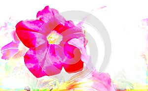 flower isolated from the background for use in the production of your various media