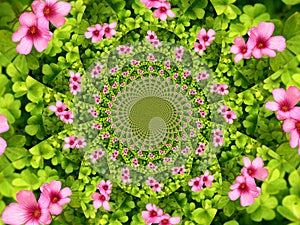 Flower kaleidoscope