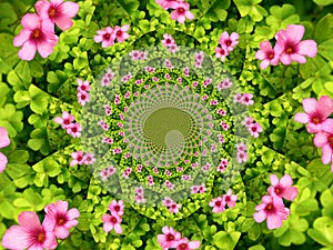 Flower kaleidoscope photo