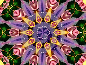 Flower Kaleidoscope Pattern