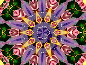 Flower Kaleidoscope Pattern