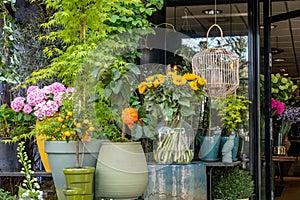 Flower kiosk in downtown Hilversum, Netherlands