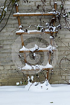 flower ladder in winter time with snow