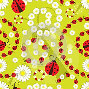 Flower and ladybird seamless pattern