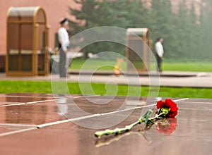 Flower laid to the Tomb of the Unknown Soldier