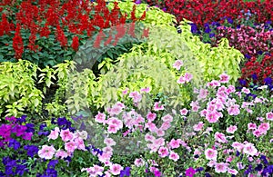 Flower landscaping