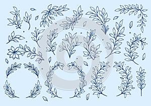 Flower leaf leaves vector outline set collection rustic hand drawing style