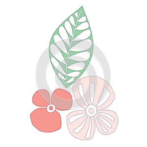 Flower and leaf  shape design