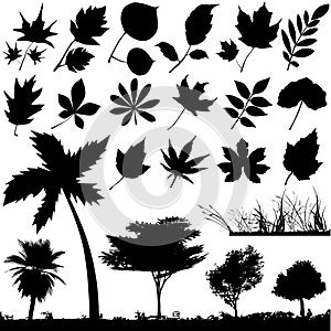 Flower, leaf and tree vector