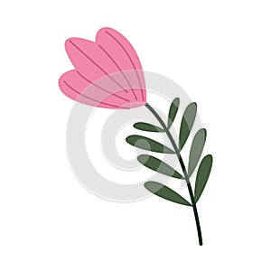 Flower and leafs nature icon