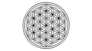 Flower of life