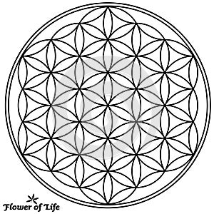 Flower of Life