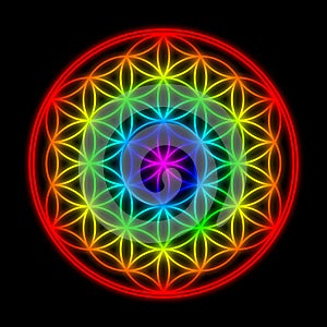 Flower of life