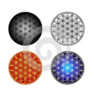 Flower of Life