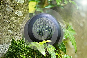 Flower of Life