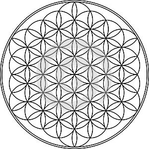 Flower of life