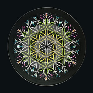 Flower of life