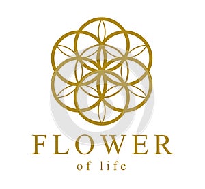 Flower of Life ancient symbol beautiful elegant vector logo or emblem isolated over white background, sacred geometry design