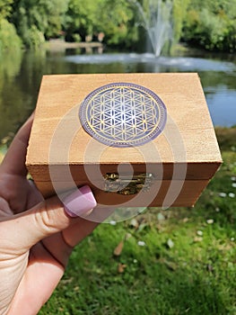 FLOWER OF LIFE BOX  Constellations Zodiac Signs Magic Flower Of Life photo