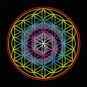 Flower Of Life Bright Glow Colors Black