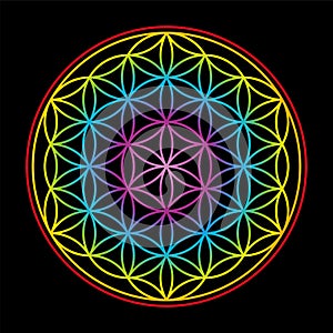 Flower Of Life Colorful On Black Background