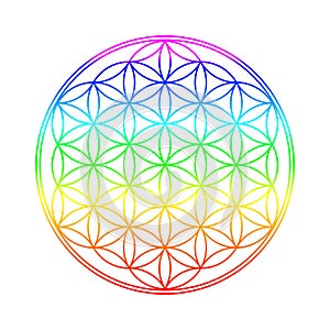 Flower of Life