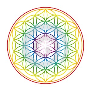 Flower Of Life Colorful Vibrant Glow