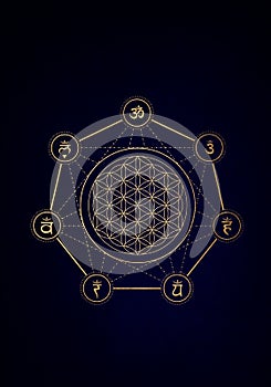 Flower of Life, Core and Seed of Life. Geometric figures and spiritual symbols of the Sacred Geometry. Overlapping circles forming