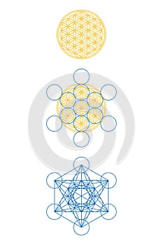 Flower of Life and the develop of Metatrons Cube, Sacred Geometry
