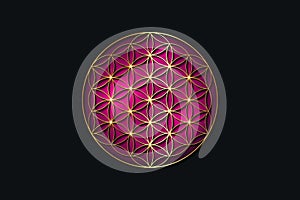 Flower of life, gold spiritual mandala, Sacred Geometry. Bright golden symbol of harmony and balance. Mystical talisman, luxury