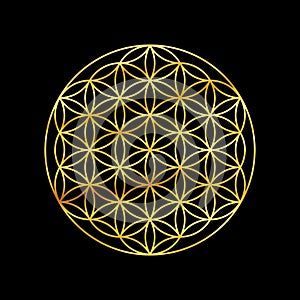 Flower of life gold symbol isolated on black background. Sacred geometry golden symbol