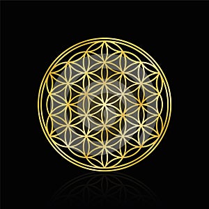 Flower Of Life Golden Symbol Black Background