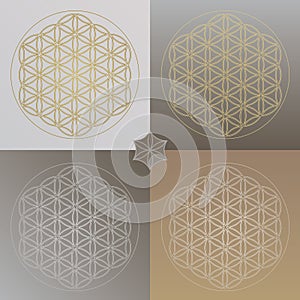 Flower of Life Illustrations in Gold and Gray Colored Gradients - 4 Items Sacred Geometry on Background