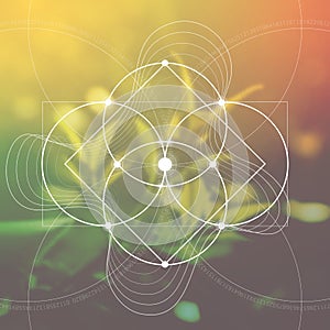 Flower of life - the interlocking circles ancient symbol in front of blurred photorealistic nature background. Sacred