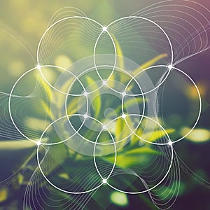 Flower of life - the interlocking circles ancient symbol in front of blurred photorealistic nature background. Sacred