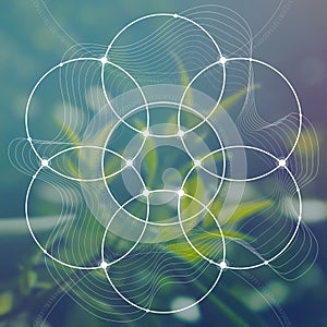 Flower of life - the interlocking circles ancient symbol in front of blurred photorealistic nature background. Sacred geometry - m