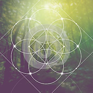 Flower of life - the interlocking circles ancient symbol in front of blurred photorealistic nature background. Sacred geometry - m