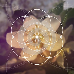 Flower of life - the interlocking circles ancient symbol. Sacred geometry. Mathematics, nature, and spirituality in